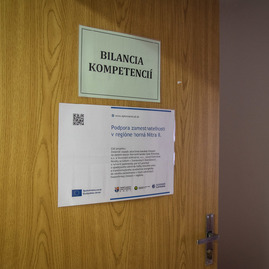 Zväčšiť fotografiu - Európskej komisii predstavili plány aj problémy vyplývajúce z transformácie regiónu - TSK_EK HN_mini-40